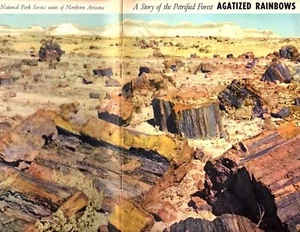A Story of the Petrified Forest Agatized Rainbows Booklet 1951 Harold Brodrick - Picture 1 of 5