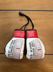 Mini gants de boxe championnat du monde des poids moyens Cotto vs Canelo - Photo 1/7