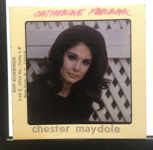 Catherine Ferrar Glamour Negativ Dia von Chester Maydole L28 - Bild 1 von 6