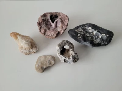 Mineralien- und Steinesammlung – Konvolut aus 5 Natursteinen / Sammlersteinen - Bild 1 von 4