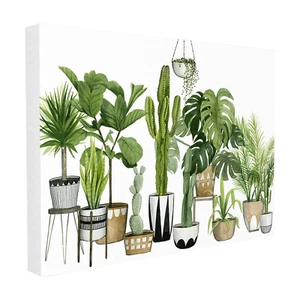 The Stupell Home Decor Collection Boho Plant Scene with Cacti and Succulents in  - Picture 1 of 5