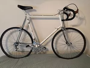 Medici Pro Strada Vintage Classic 65CM Campagnolo C Record Excellent - Picture 1 of 17