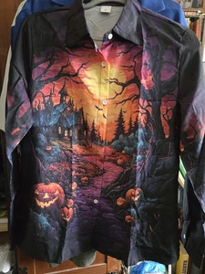 NEU SCENIC HALLOWEEN THEMA KNOPFLEISTE SHIRT MEHRFARBIG LANGARM DAMEN LARGE - Bild 1 von 6