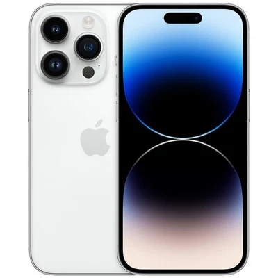 APPLE iPhone 14 Pro 256GB Argento Molto Buono - Ricondizionato - Immagine 1 di 4