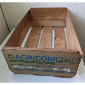 Vintage Agricom Table Grapes Wooden Crate Santiago Chile 20x12x6 - Picture 1 of 5