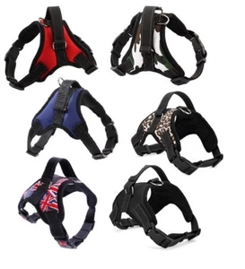 1 Harnais Chien - Taille S M L XL - 6 coloris, réglable livraison offerte PROMO - Imagen 1 de 23