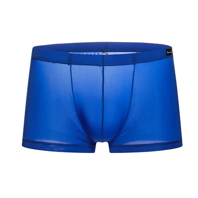 Hombres Ropa Interior de Seda Hielo Bragas Sexy Transparente Calzoncillos Boxer Calzoncillos de tiro bajo Foto 1 de 4