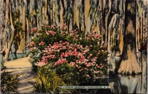 CYPRESS GARDENS Charleston, South Carolina SC Postcard - Picture 1 of 2