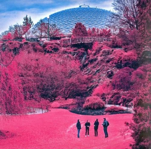 The Zolas Swooner (CD) Album - Bild 1 von 1