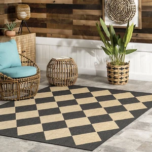 nuLOOM Sabina Transitional Dark Gray Indoor / Outdoor Area Rug - Picture 1 of 3
