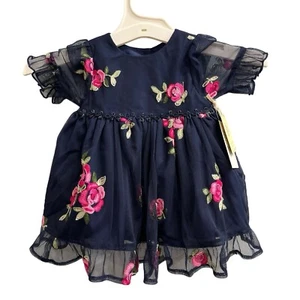 Laura Ashley London Dress Baby 3/6 M Blue Embroidered Floral Tulle Set Wedding - Picture 1 of 7
