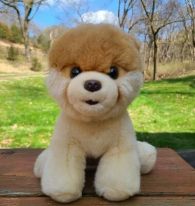 Gund Boo World's Cutest Dog Pomeranian Plush Stuffed Animal Toy Size 9" - Picture 1 of 9