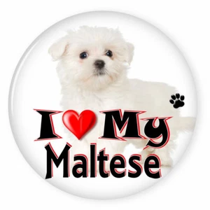 AMO IL MIO CANE MALTESE CUCCIOLO 3" SPILLA DI SICUREZZA PULSANTE POSTERIORE - Foto 1 di 2