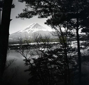 Countryside Scene - Woods / Lake - Mt Fuji - Japan - c1953 - Vintage Negative - Picture 1 of 2