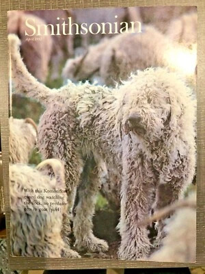Smithsonian Magazine ●April 1982- Komondor guard dog watching flock, no predator - Image 1 of 2