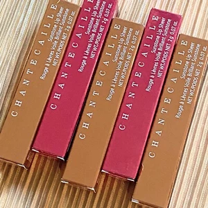 CHANTECAILLE choose SUNSTONE LIP SHEER EMPOWER OPTIMISM LIPSTICK FULL SIZE - Picture 1 of 2