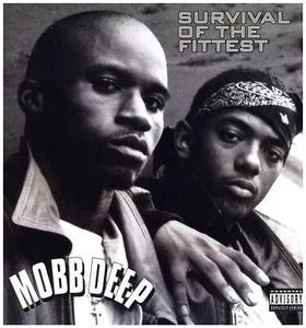 Mobb Deep - Survival Of The Fittest '95 12" US ORG!VG+/EX- - Picture 1 of 4