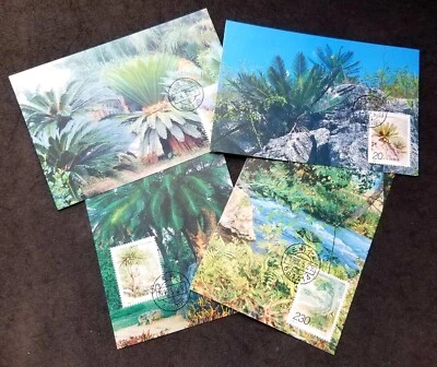 *FREE SHIP China Cycas Tree 1996 Iron Plant (maxicard) *concordance Postmark - Image 1 of 4