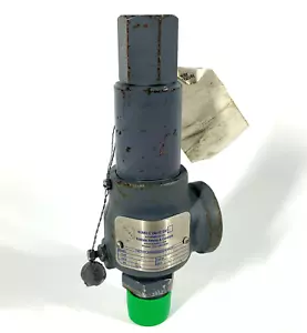 Kunkle verpackt Hebel Sicherheitsentlastungsventil 910BDD 12 GPM - Bild 1 von 7