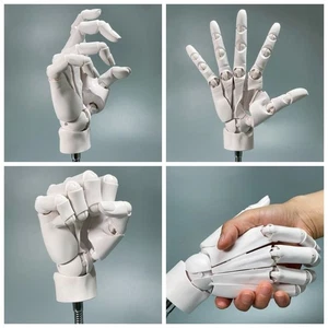 Simulation Hand Joint Finger Manikin Hand Articulated Hand Draw Sketch - Picture 1 of 14