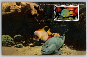 #5713i Marine Sanctuaries Queen Angelfish FDC Maxi Card w/Pictorial Cancel - Picture 1 of 2