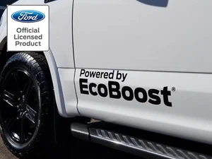 2018 Ford F-150 Powered By Ecoboost Graphics Decals Stickers Side Pair F150 - Picture 1 of 4