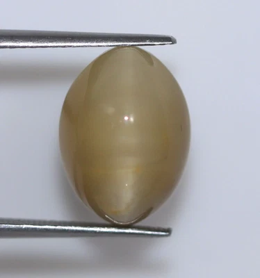 Brownish Green Natural Cat’s Eye Chrysoberyl CERTIFIED Loose 10.13 Ct Gemstone - Image 1 of 4