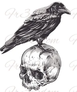 Cut & Stick, Self Adhesive Stickers, Furniture, Wall Decal, Clear, 296 Crow Skul - Picture 1 of 23