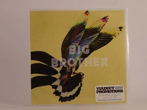 OI VA VOI BIG BROTHER (E78) 1 Track Promo CD Single also Picture Sleeve V2 RECOR - Picture 1 of 7