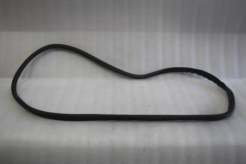 Cadillac CT5 2020 2021 lado izquierdo del conductor puerta trasera jamba sellado resistente a la intemperie Foto 1 de 4