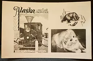 FOTO REALE Cartolina RPPC~ALASKA LA NOSTRA ULTIMA FRONTIERA-PRIMA LOCOMOTIVA-ORSO-GATTO - Foto 1 di 2