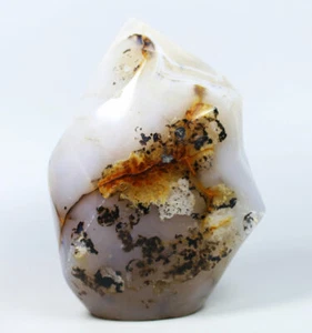 247g Natural flame Aquatic Plants Agate Crystal Freeform Torch Madagascar Statue - Picture 1 of 12