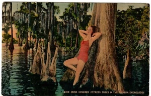 Glamouröse Postkarte von Florida nach Michigan 1943 - Bild 1 von 2