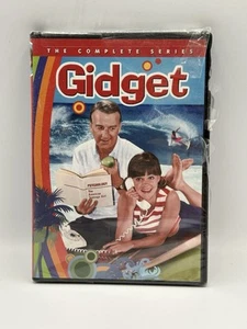 Gidget: Die komplette Serie 1965 DVD (3-Disc Set) Sally Field KOSTENLOSER VERSAND - Bild 1 von 5