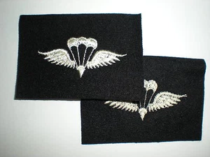 INSIGNIA DE PARACAÍDAS RIGGER STRIKER DE LA MARINA DE EE. UU. - SEGUNDA GUERRA MUNDIAL (ORIGINAL) - Imagen 1 de 1