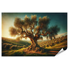 islandburner Premium Poster Alter Olivenbaum in malerischer mediterraner Landsch