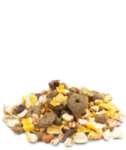 10kg Snack Popcorn - Bild 1 von 1
