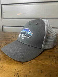Patagonia Fitz Roy Bison Midcrown Truckermütze grau - Bild 1 von 13