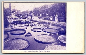 Vintage Lily Pond Lincoln Park Chicago Postcard 1909 Antique Scenic - Picture 1 of 2