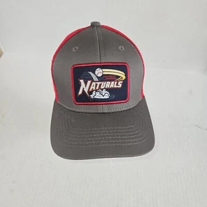 Nuevo con etiquetas Sombrero Arkansas Naturals Ajustable Snapback Malla Camionero Nuevo sin etiquetas Rojo Gris Por... - Imagen 1 de 6