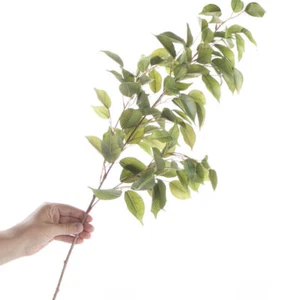 Set of 2 Artificial Ficus Leaf 34" Sprays for Home Decor - Picture 1 of 4