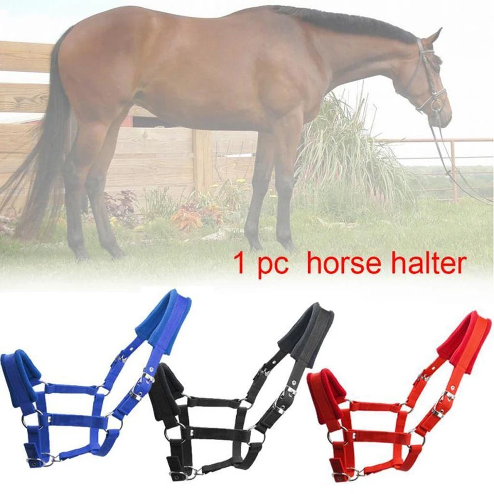 Premium Soft Padded Cob Horse Halter Bridle Headstall Head Collar Strap - image 1 of 1