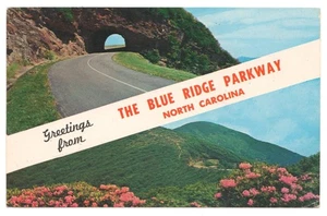 Walter Cline Blue Ridge Parkway Tunnel Craggy Gardens North Carolina Postcard - Picture 1 of 2