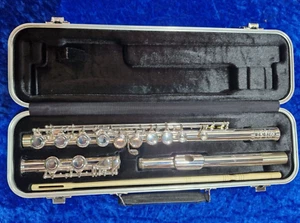 Concert Flute Di Zhao DZ100 - Picture 1 of 4