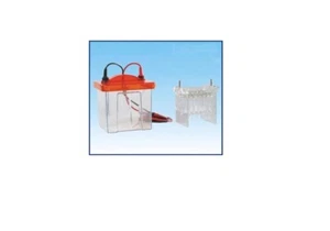 MINI TUBO GEL ELECTROFORESIS AZZOTA® - Imagen 1 de 1