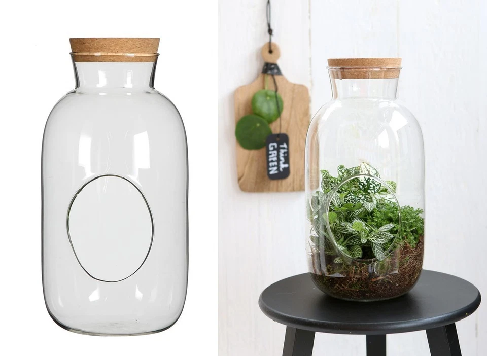 NaDeco Zylinder Flasche mit Korken 22x12 cm | Flaschengarten | Pflanzenterrarium - Bild 1 von 1