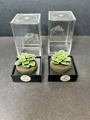 2 Dollhouse Miniature Hosta Garden Plants Handmade 1:12 - Image 1 of 4