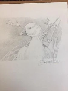 RARE RW73 2006 Sherrie Russell Meline Federal Duck Stamp Desn Pencil ORIGINAL - Foto 1 di 1