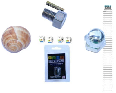 GEO-VERSAND Juego de escondite de geocaching 4 piezas tuerca de sombrero tornillo caracol magnético nano ciudad