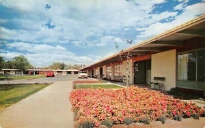 Motel Winnemucca Roadside Vtg Cars Scene Hwy 40 Winnemucca,NV Vtg 50's Postcard - Picture 1 of 2